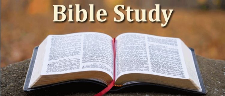 Virtual Bible Study